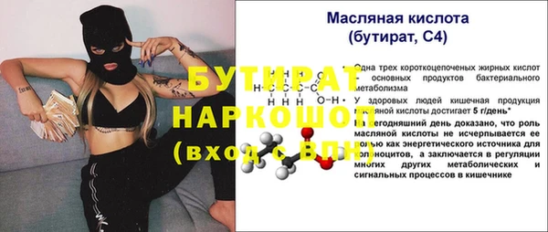 шишки Ельня