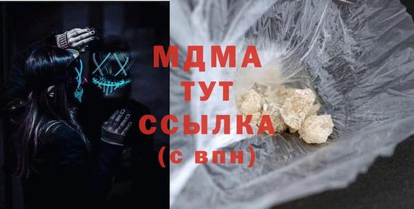 шишки Ельня
