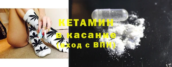 шишки Ельня