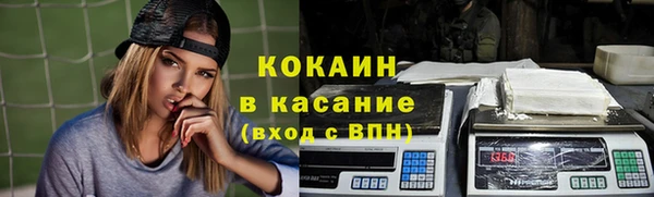 шишки Ельня