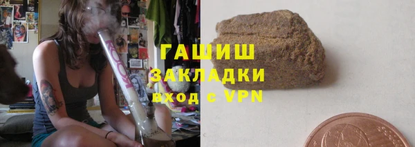 шишки Ельня