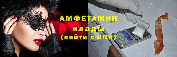 шишки Ельня
