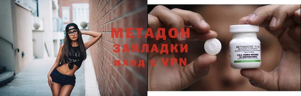 шишки Ельня