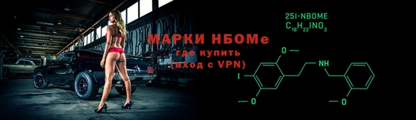шишки Ельня