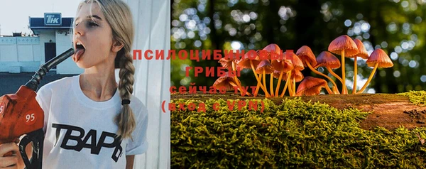 шишки Ельня