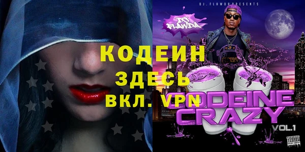 шишки Ельня