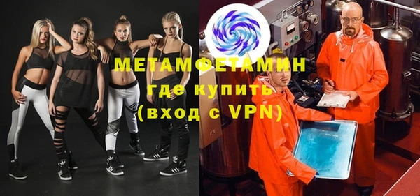 шишки Ельня