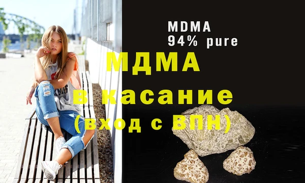 шишки Ельня