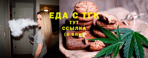 шишки Ельня