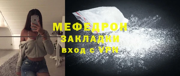шишки Ельня