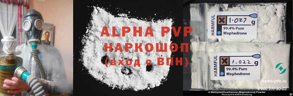 шишки Ельня