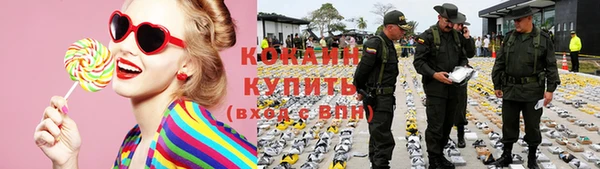 шишки Ельня