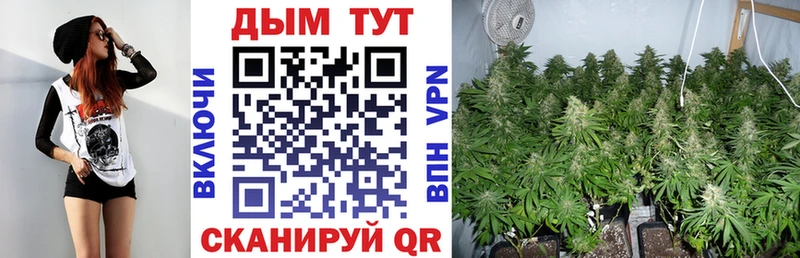 Купить закладки  Качканар  МАРИХУАНА White Widow 